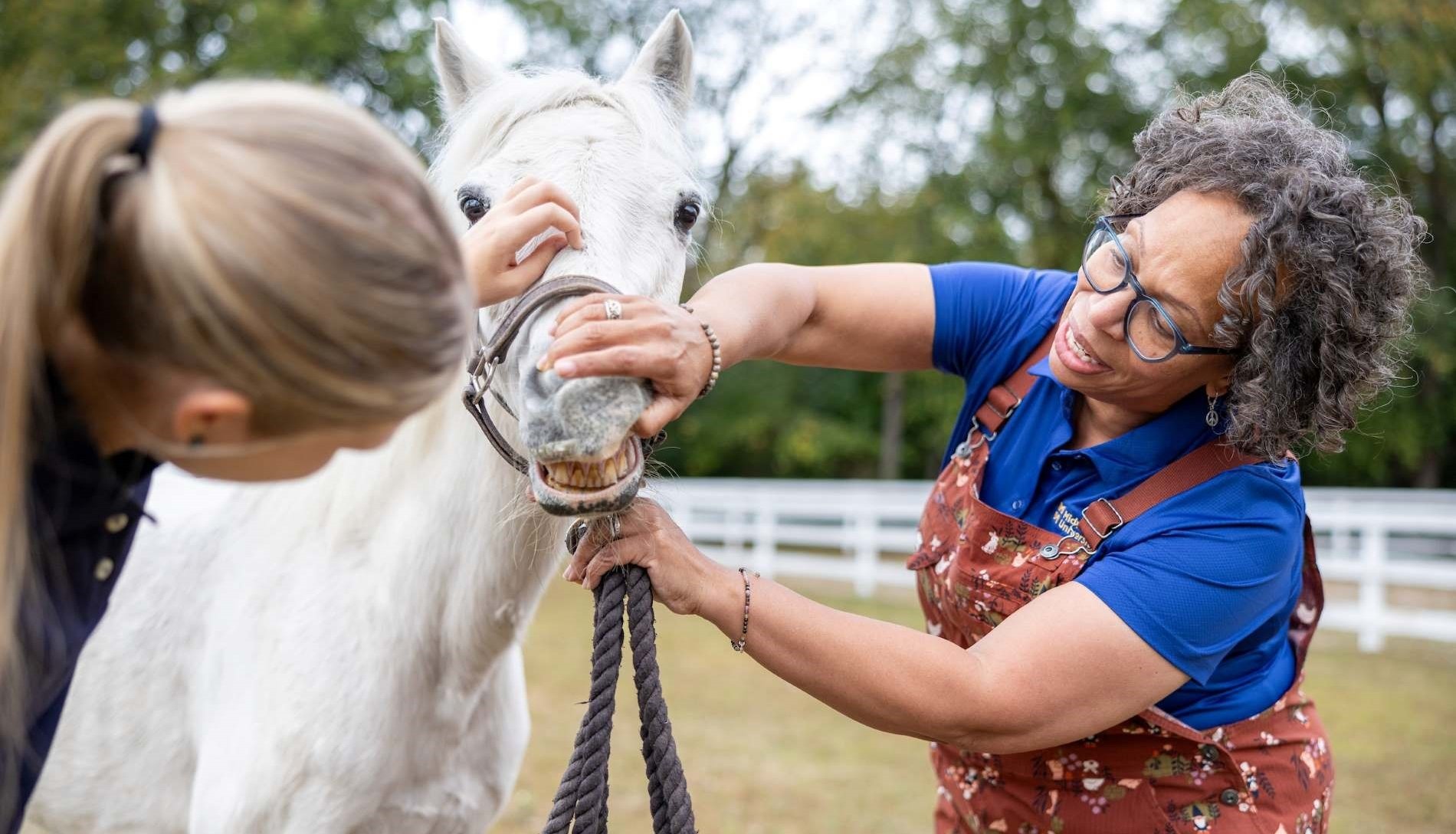 Doctor of Veterinary Medicine, College of Veterinary MedicineIllinois