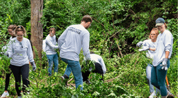 Midwestern University students clearing brush for a service project.