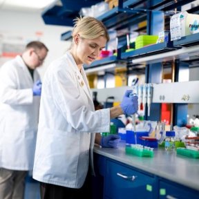 Student working in the Downers Grove Core Research Facility.