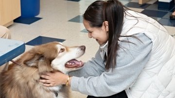 Student interacts with a therapy dog.