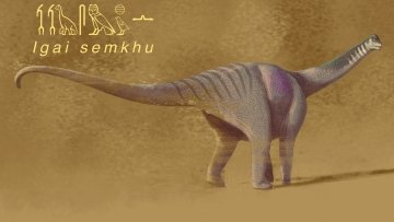Photo of Igai dinosaur