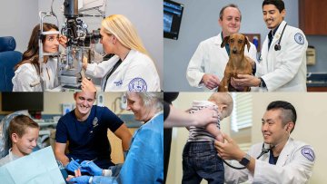 collage of clinic services