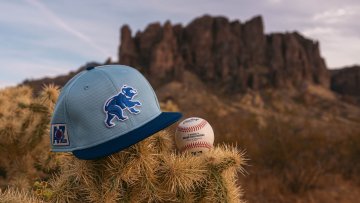 Baseball cap and baseball sitting on a cactus in front of mountains.