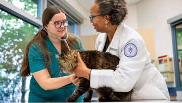 Student and clnical professor examine a cat