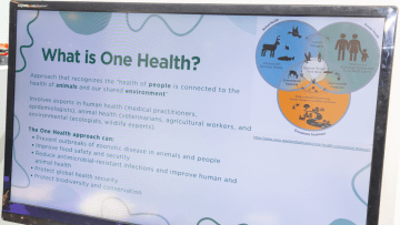 Screenshot of One Health information page on a computer monitor