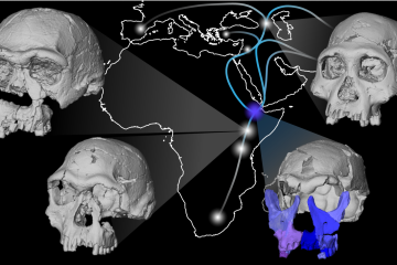 Fossil fragments of a face as well as teeth were reassembled to produce the most complete cranium of a human ancestor from this time in the Horn of Africa.