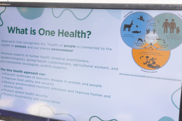 Screenshot of One Health information page on a computer monitor