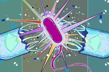 Artisitic rendering of pill broken in half