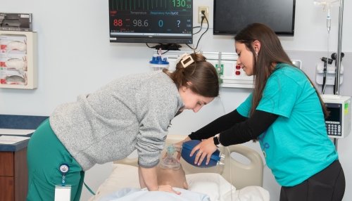 IL MIMS Spring SIM Center Event