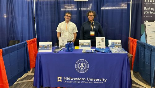 Two faculty stand at table