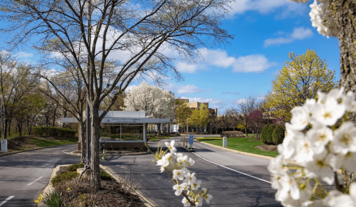 Visit | Midwestern University