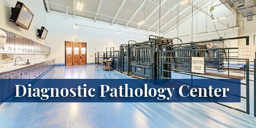 Diagnostic Pathology Center