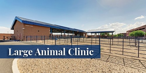 Large Animal Clinic
