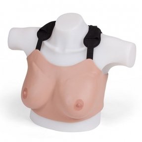 Standard Breast Model