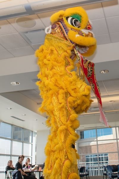 Lunar New Year lion stands to its full height.