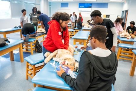 Students practice CPR on dog mannequin